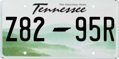 TN license plate Z8295R