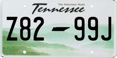 TN license plate Z8299J