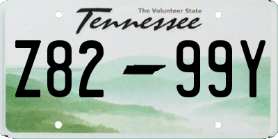 TN license plate Z8299Y