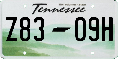 TN license plate Z8309H