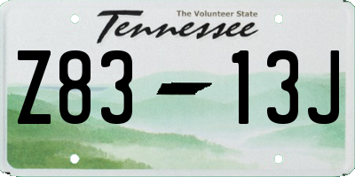 TN license plate Z8313J