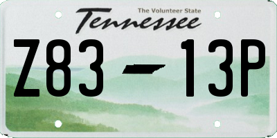 TN license plate Z8313P
