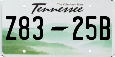 TN license plate Z8325B