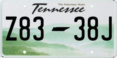 TN license plate Z8338J