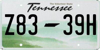 TN license plate Z8339H