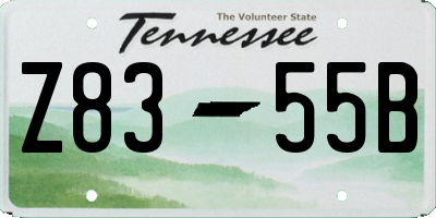 TN license plate Z8355B