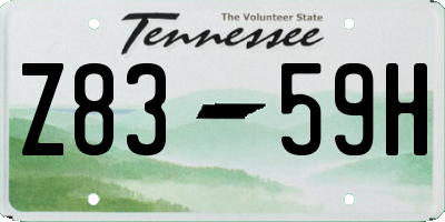 TN license plate Z8359H
