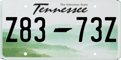 TN license plate Z8373Z