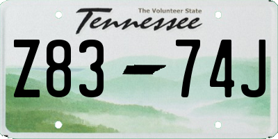 TN license plate Z8374J