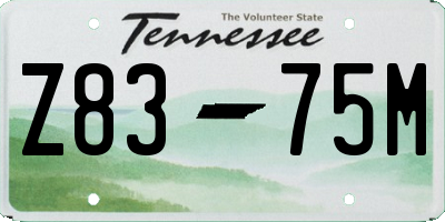 TN license plate Z8375M