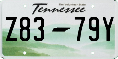 TN license plate Z8379Y