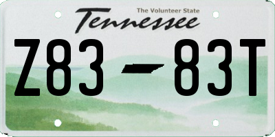 TN license plate Z8383T