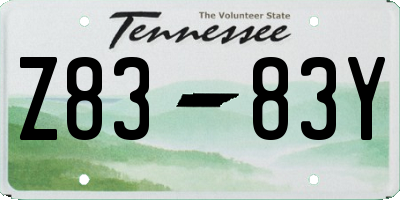 TN license plate Z8383Y