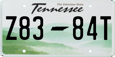 TN license plate Z8384T