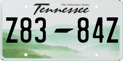 TN license plate Z8384Z