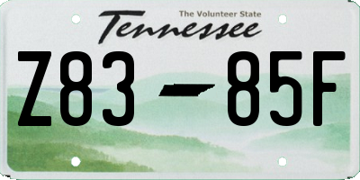 TN license plate Z8385F