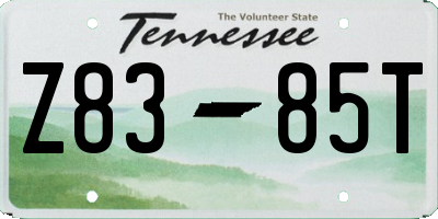 TN license plate Z8385T