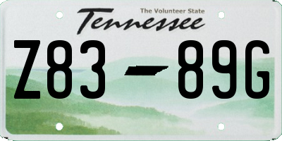TN license plate Z8389G