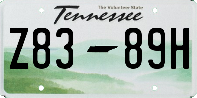 TN license plate Z8389H