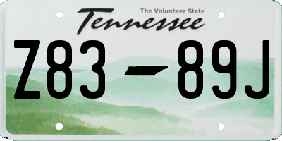 TN license plate Z8389J