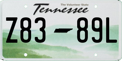 TN license plate Z8389L