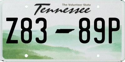 TN license plate Z8389P