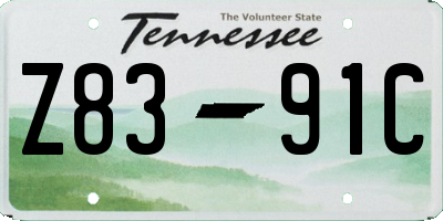 TN license plate Z8391C