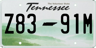 TN license plate Z8391M