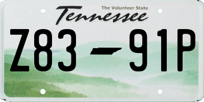 TN license plate Z8391P