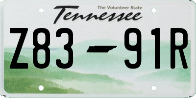 TN license plate Z8391R