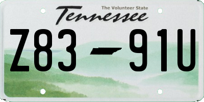 TN license plate Z8391U