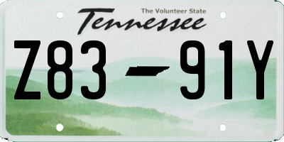 TN license plate Z8391Y