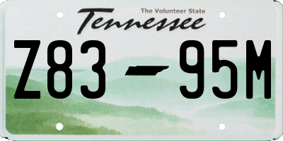 TN license plate Z8395M