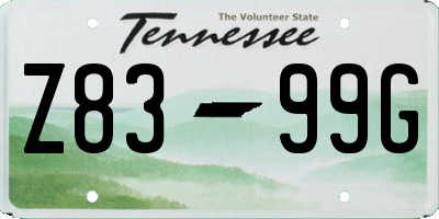 TN license plate Z8399G