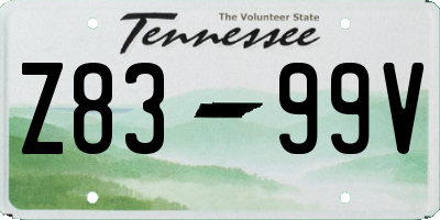 TN license plate Z8399V