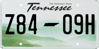 TN license plate Z8409H