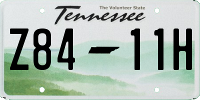 TN license plate Z8411H