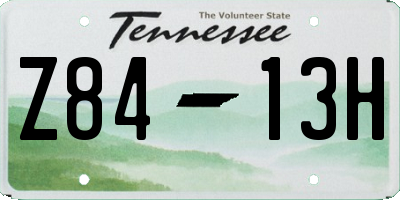 TN license plate Z8413H