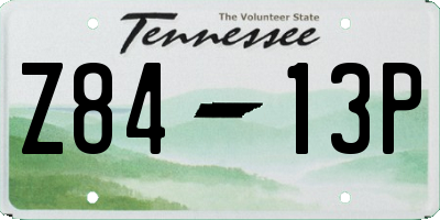 TN license plate Z8413P