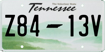 TN license plate Z8413V