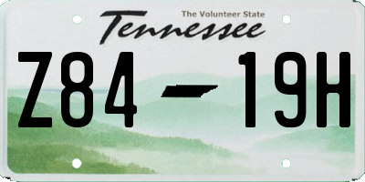 TN license plate Z8419H