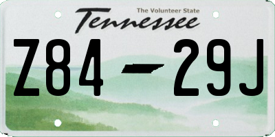 TN license plate Z8429J