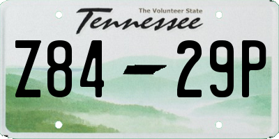 TN license plate Z8429P