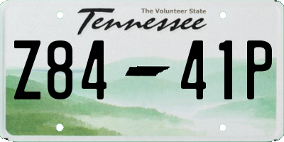 TN license plate Z8441P