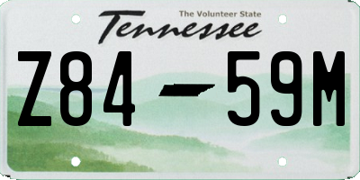 TN license plate Z8459M