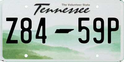 TN license plate Z8459P