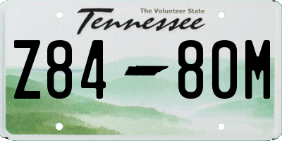 TN license plate Z8480M