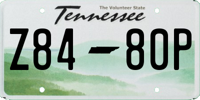 TN license plate Z8480P