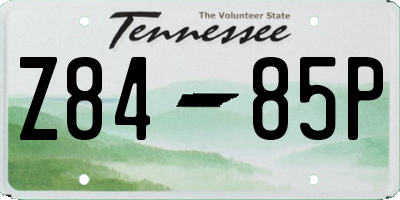 TN license plate Z8485P