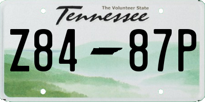 TN license plate Z8487P